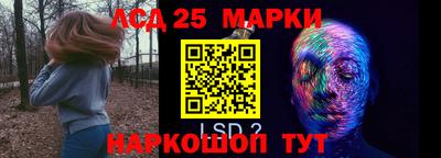 мдпв Бийск