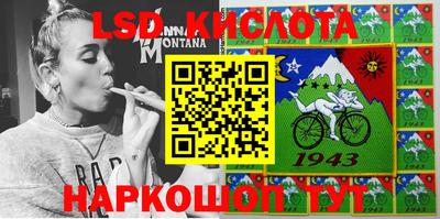 гашик Берёзовский