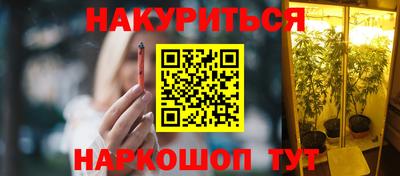 гашик Берёзовский