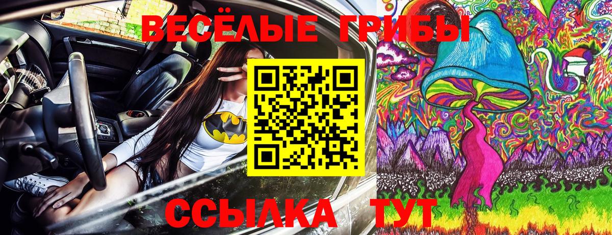 Псилоцибиновые грибы Magic Shrooms  как найти закладки  Асино  Псилоцибиновые грибы прущие грибы  Вход с VPN 
