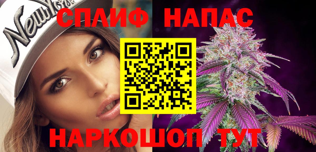 Канабис сатива Асино